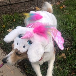 Dog unicorn costume